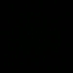 Meet your Posher, Darius