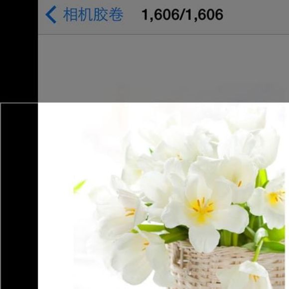 Meet your Posher, Diane - Picture 1 of 1