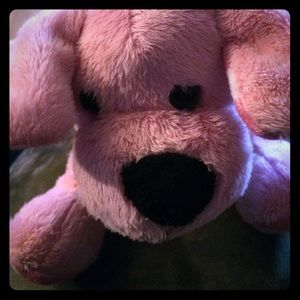 Be aware of SCAMMERS