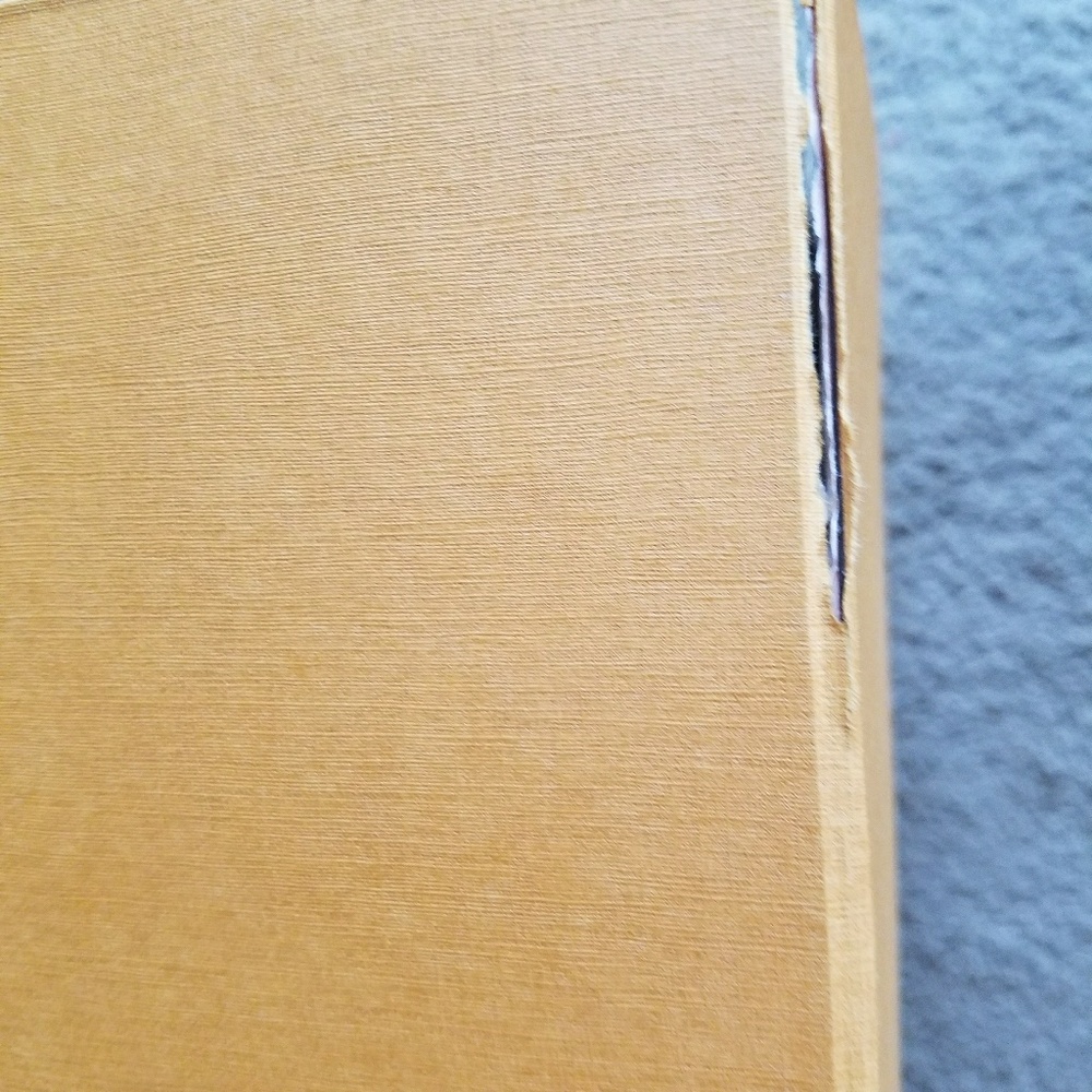neverful shopping  bag and box