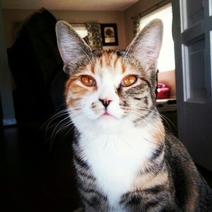 Meet your Posher, Nicole