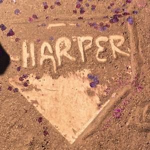 Meet your Posher, Tami