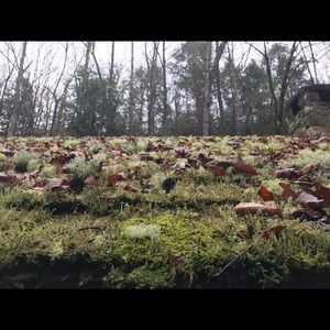 Meet your Posher, Kaylee