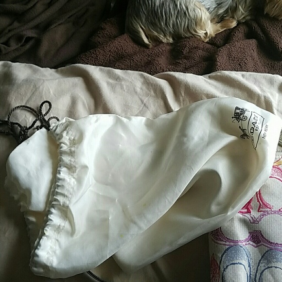 Coach "Poppy" Shoulder Bag - Picture 8 of 8