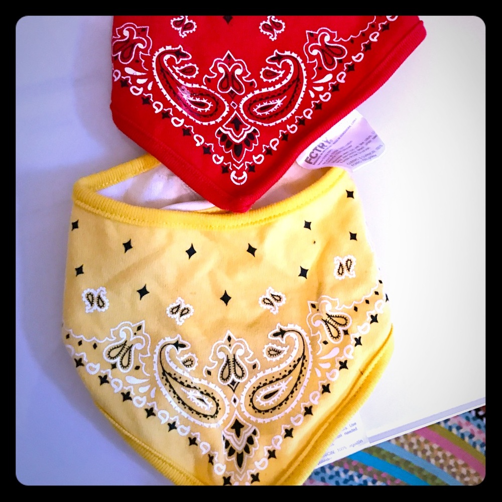 Set of 2 bandanna BIBS w snap