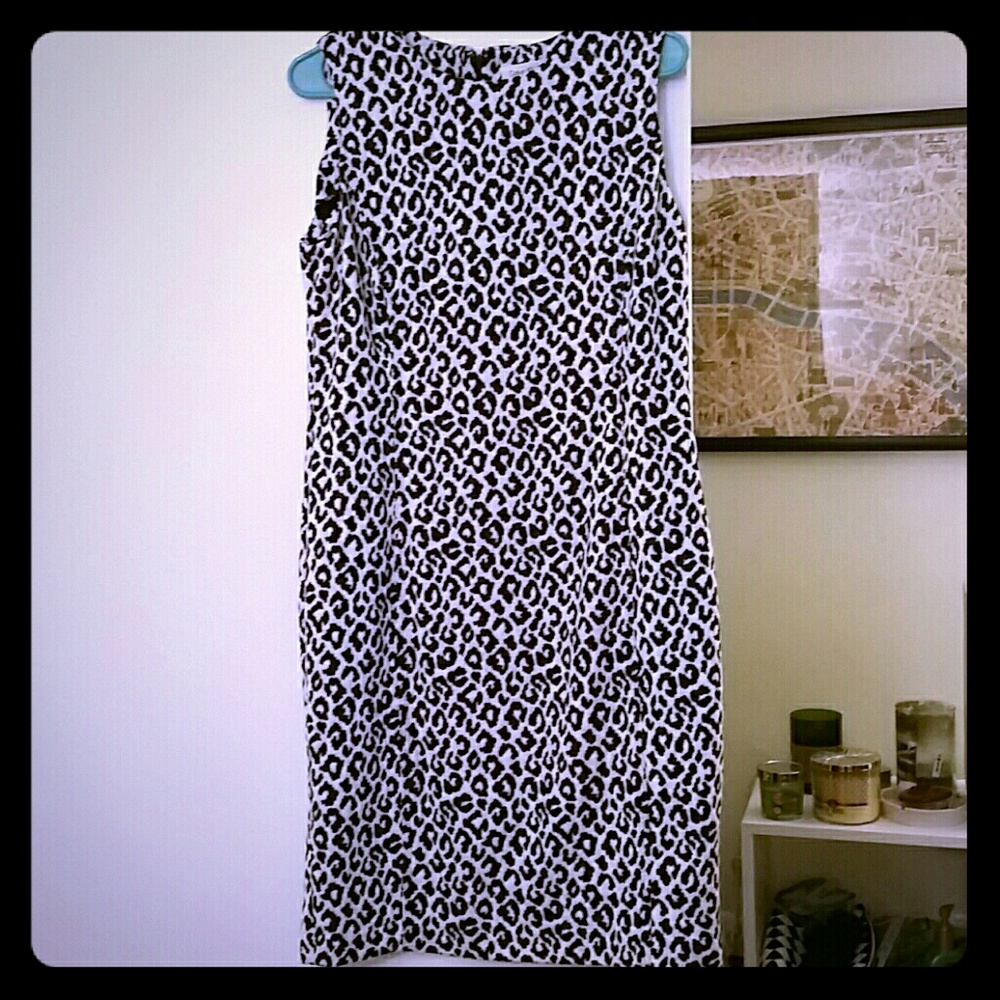 Sexy Calvin Klein Leopard Shift dress