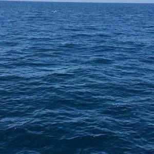 Meet your Posher, Jose