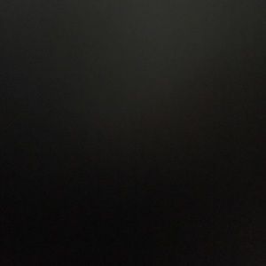 Meet your Posher, Lenny