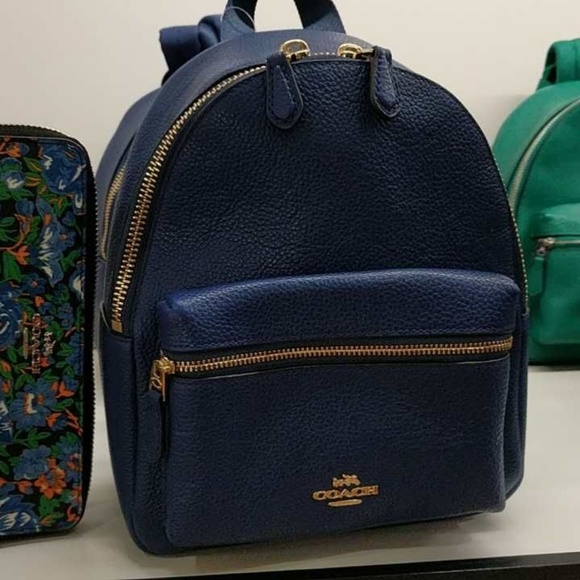 Mini Backpack Purse Coach IUCN Water