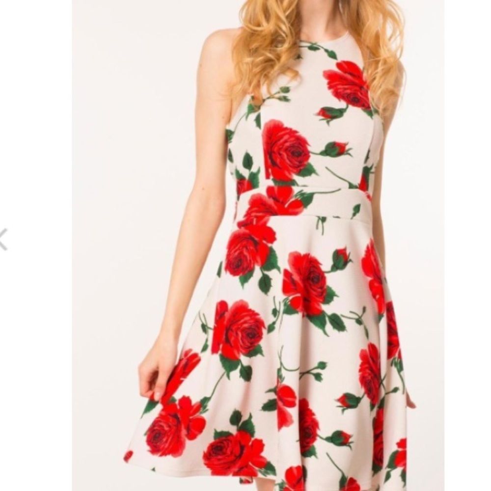 Final Price✨rose🌹floral skater flare A-line dress
