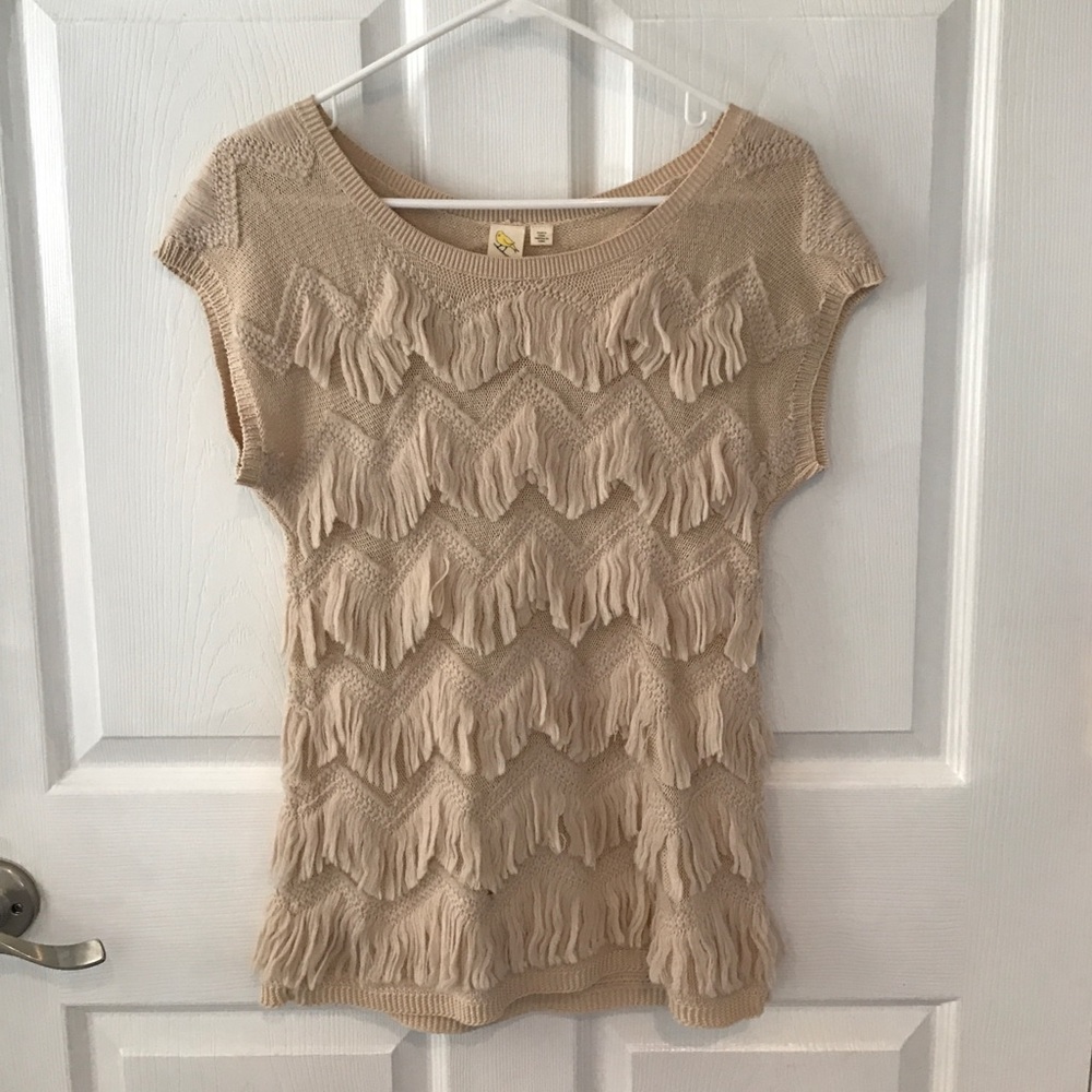 Fringed Anthropologie sweater