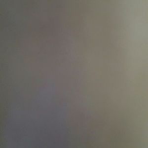 Meet your Posher, Shamonta