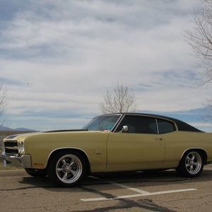 Meet your Posher, Michael