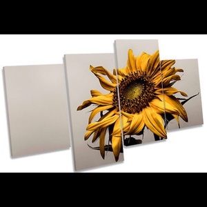 Meet your Posher, Charlene