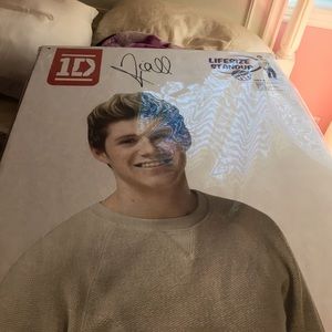 Lifesize Standup of One Direction member