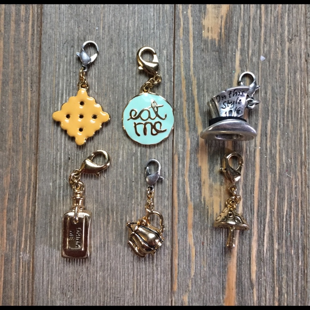 Alice in Wonderland Charms Disney Couture