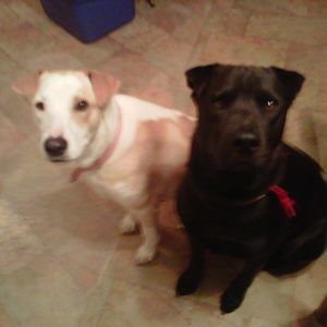 Meet your Posher, Althea