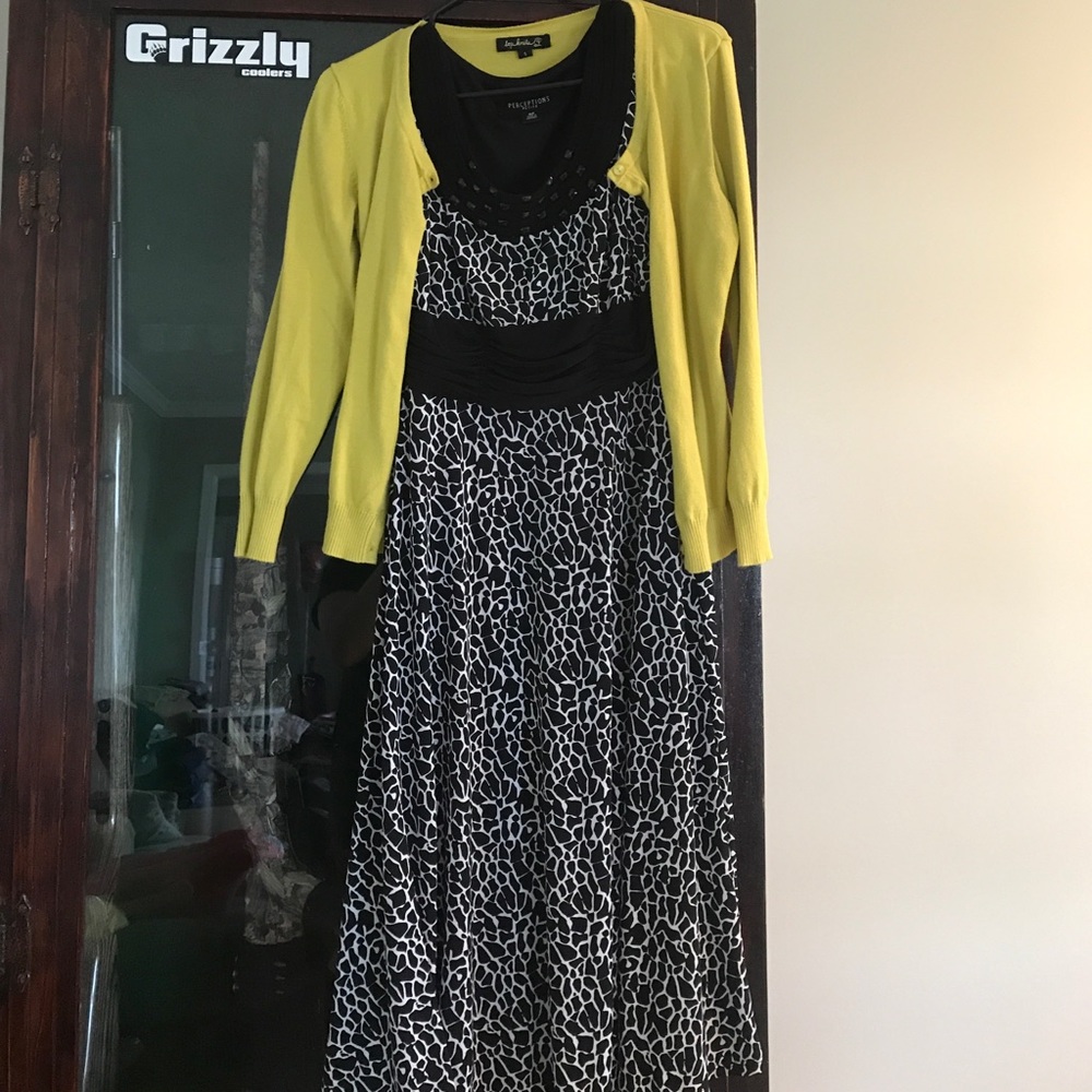 Dress and Sweater Combo!