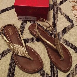 CARLOS by Carlos Santana Tandy 2 Kork Sandal