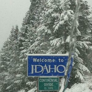 Meet your Posher, Zachary