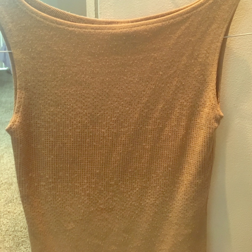 Tan and gold glitter top