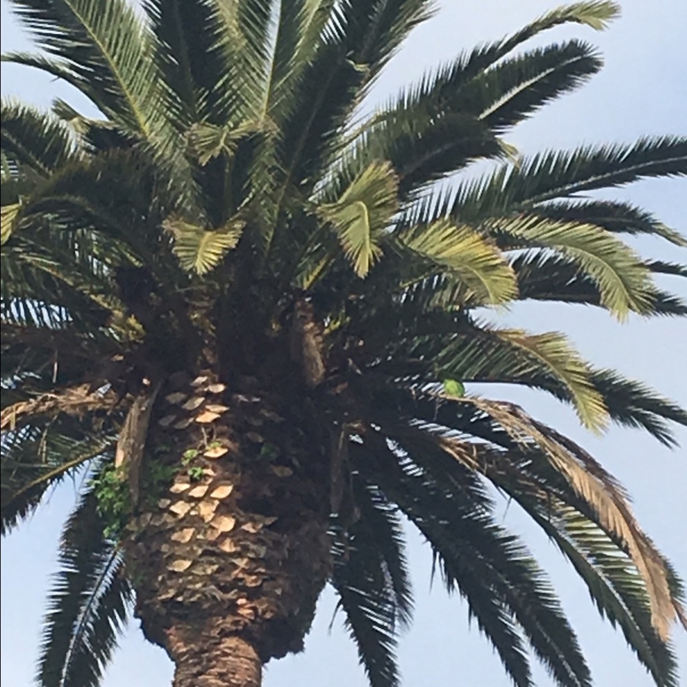 Meet your Posher, Oksana