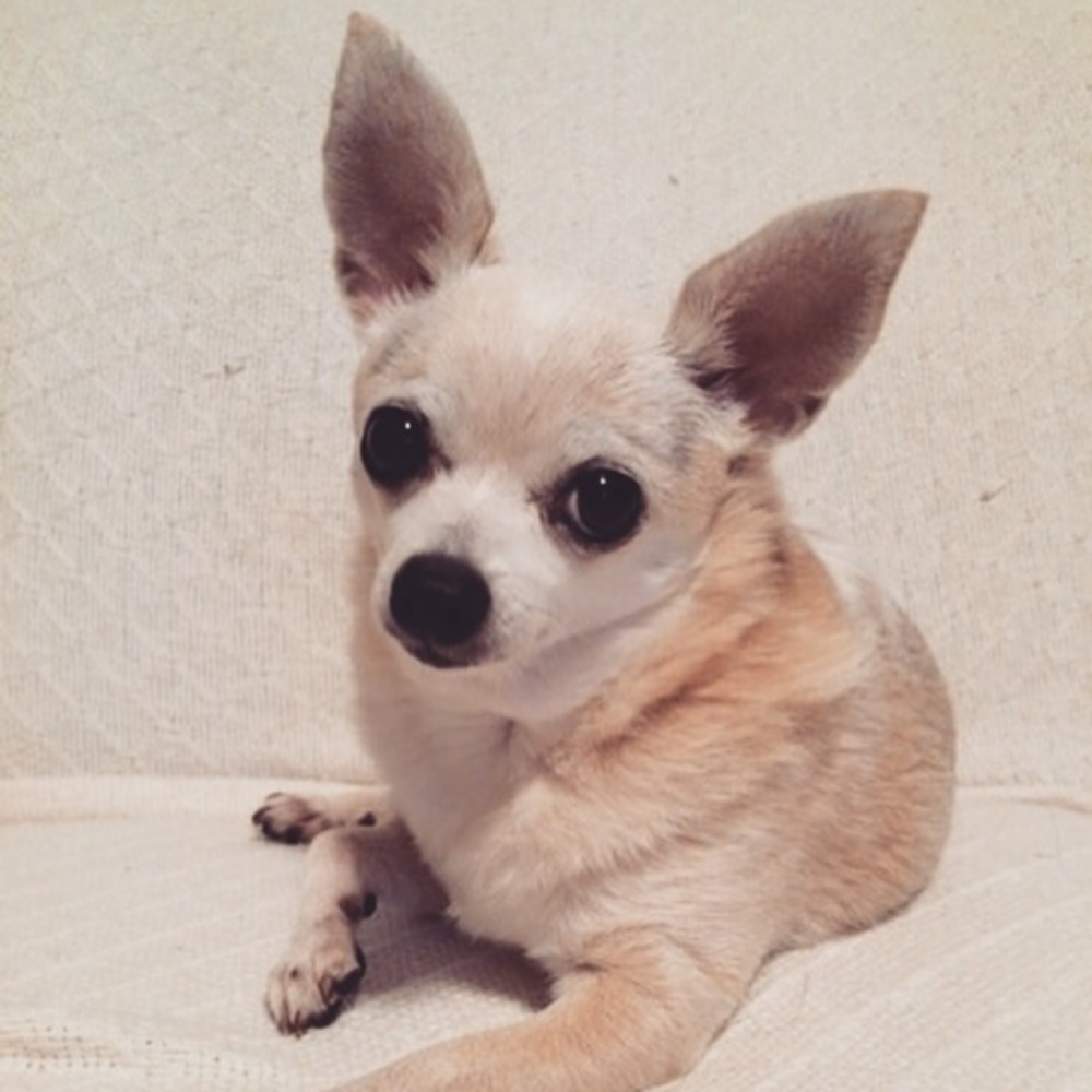 Welcome to my closet!