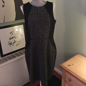 Ann Taylor Dress
