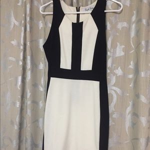 Brigitte Bailey Black & White Dress