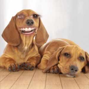 Meet your Posher, Cameron