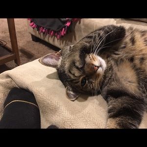 Meet your Posher, Lisa