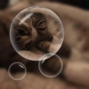 Meet your Posher, Fran