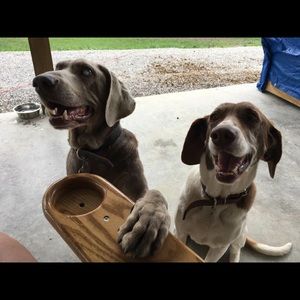 Meet your Posher, Alexandra