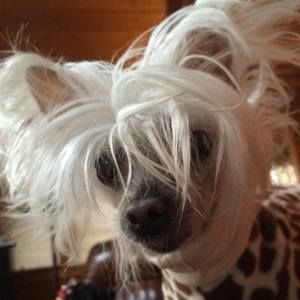 Meet your Posher, Joan