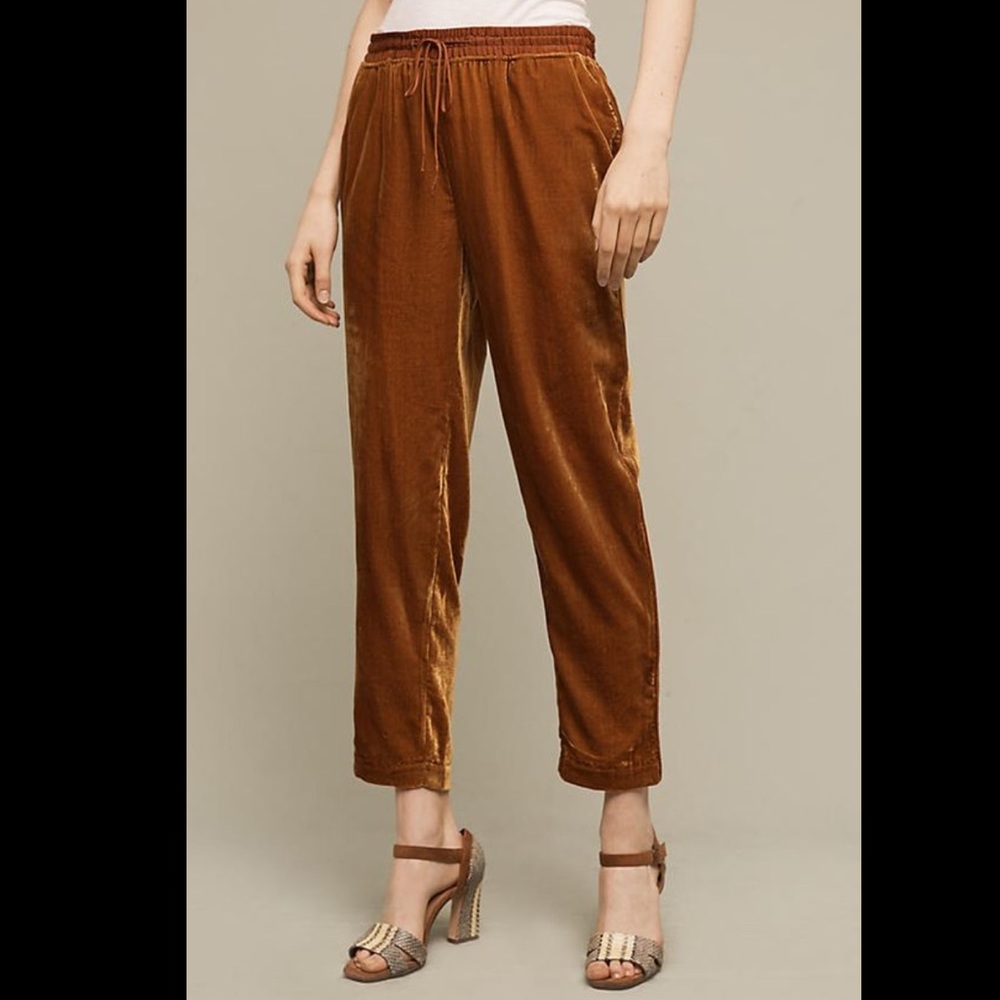 Anthropologie velvet pants - Picture 2 of 3