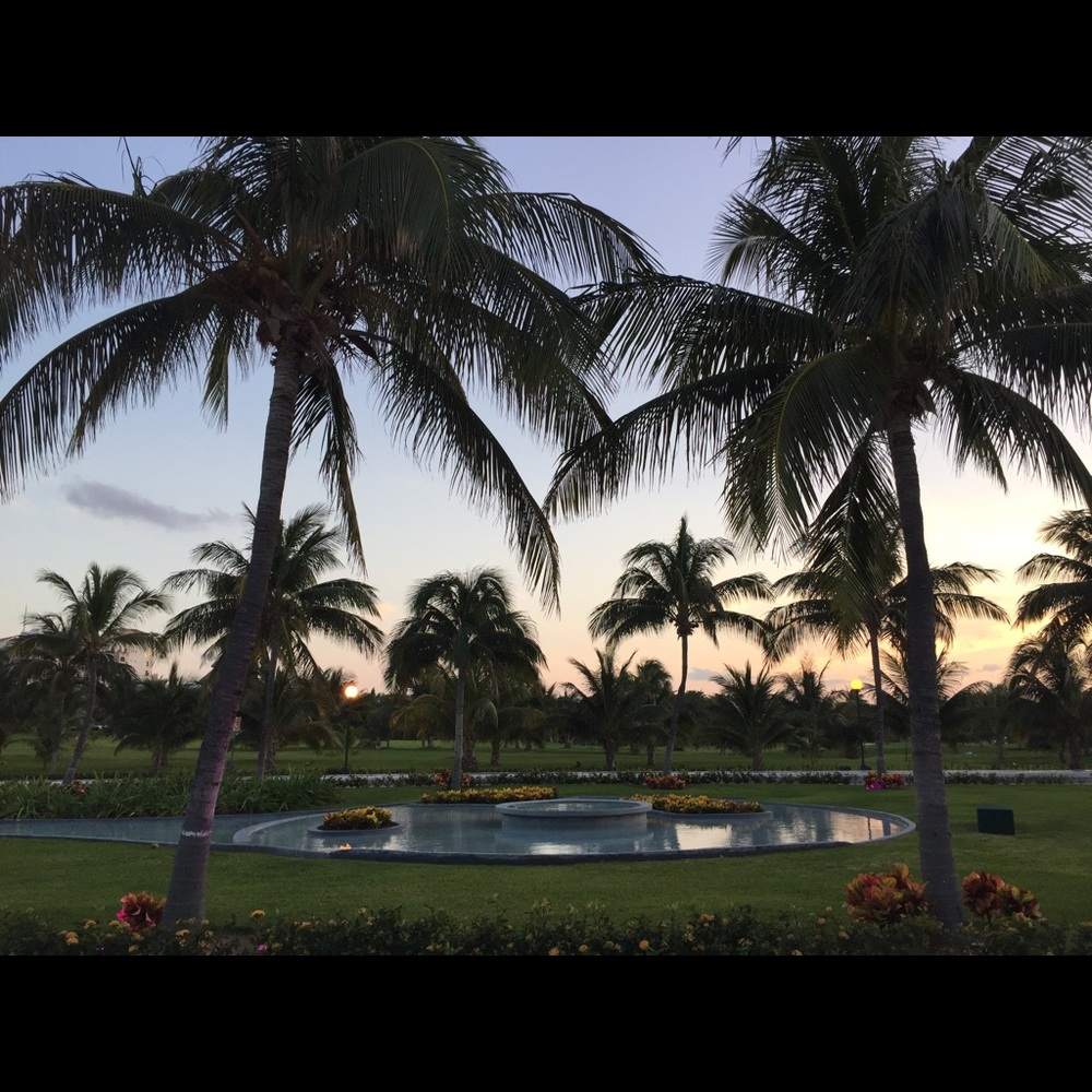 Meet your Posher, Paula