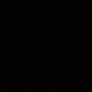 Meet your Posher, Demetrius