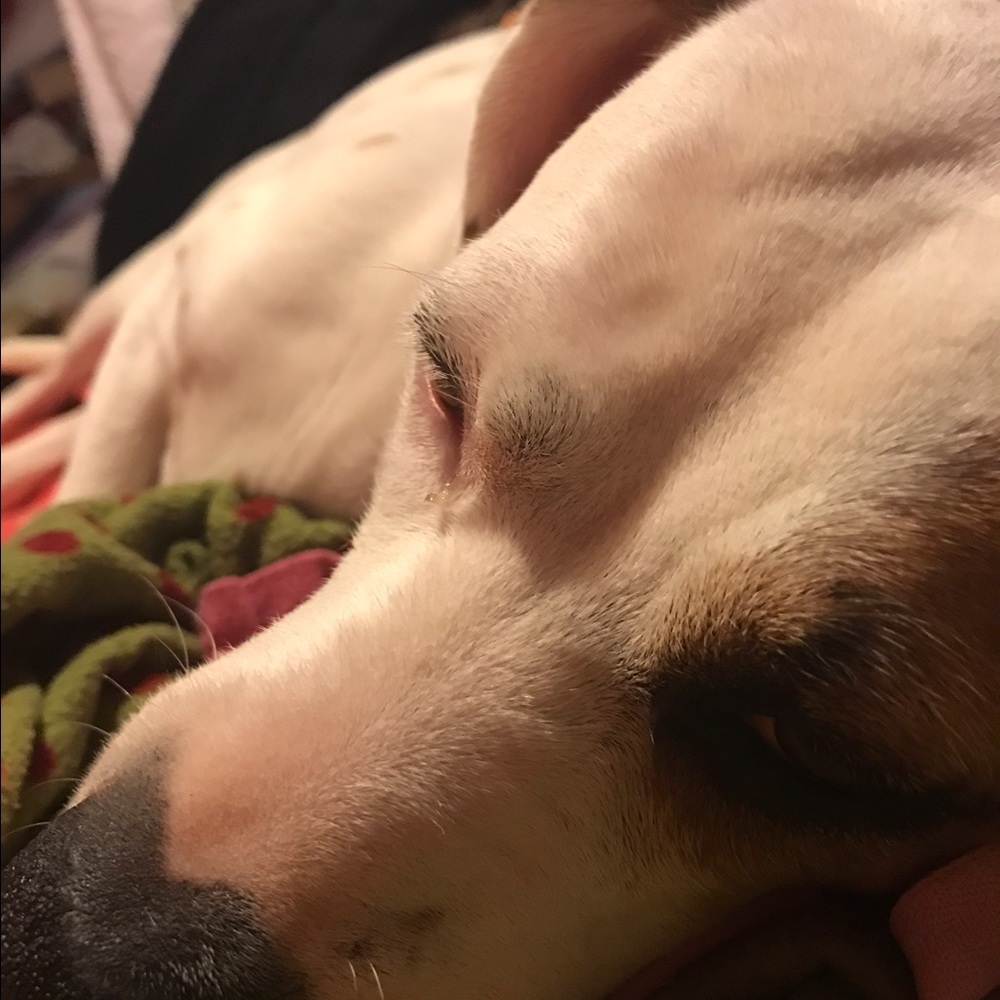 Meet your Posher, Theresa