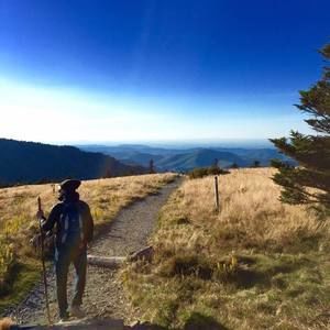 Meet your Posher, Dane