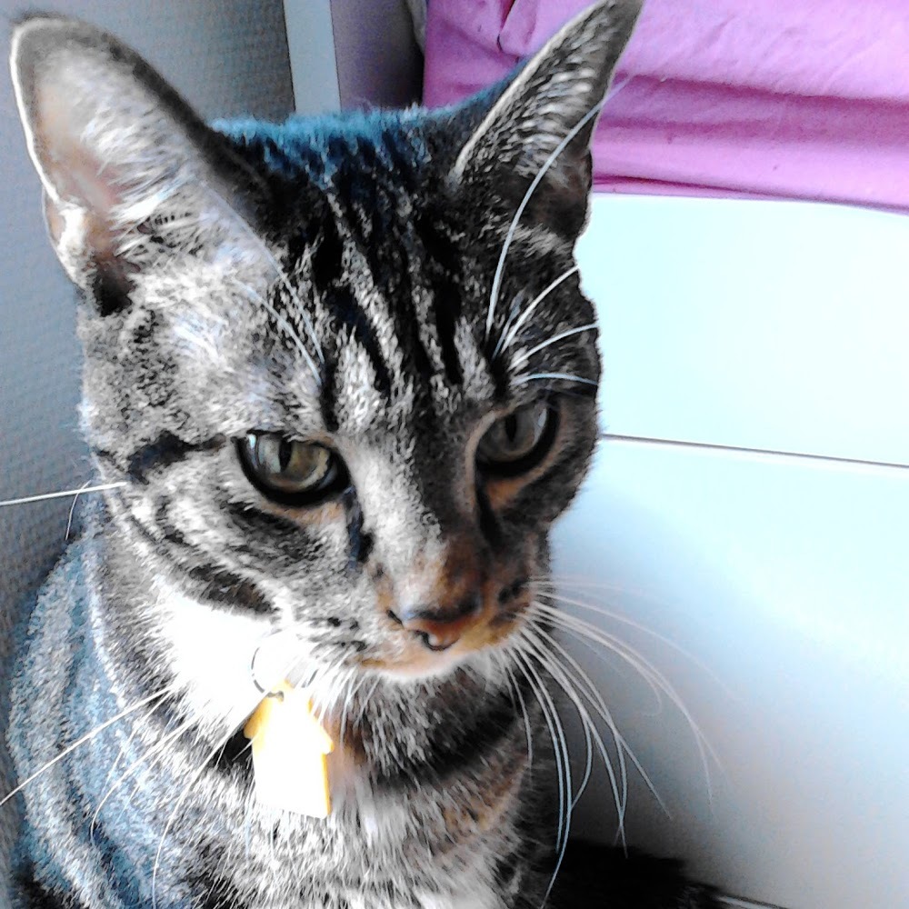 Meet your Posher, Heather