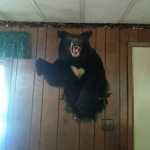 Meet your Posher, Vicki