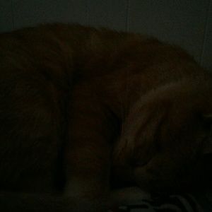 Meet your Posher, Aaron