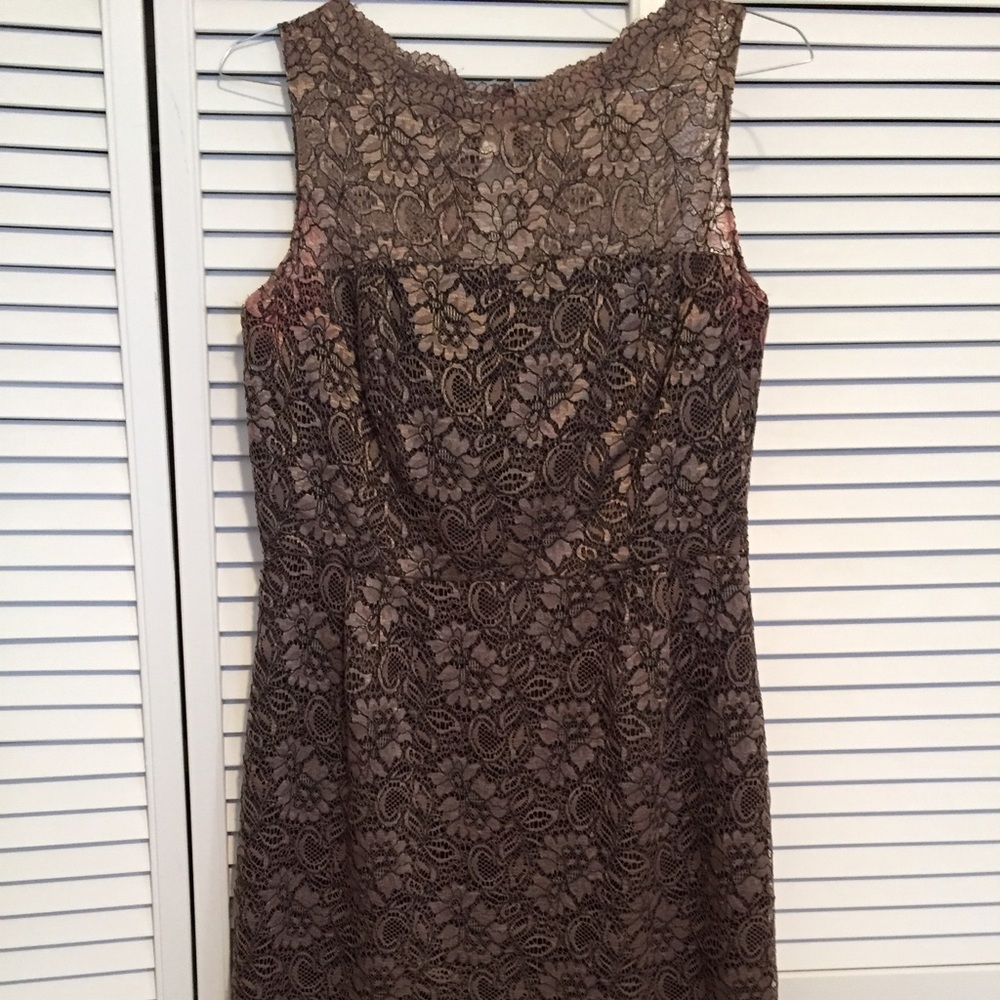 Talbots brown lace dress