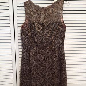 Talbots brown lace dress