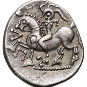 Meet your Posher, Bonnie