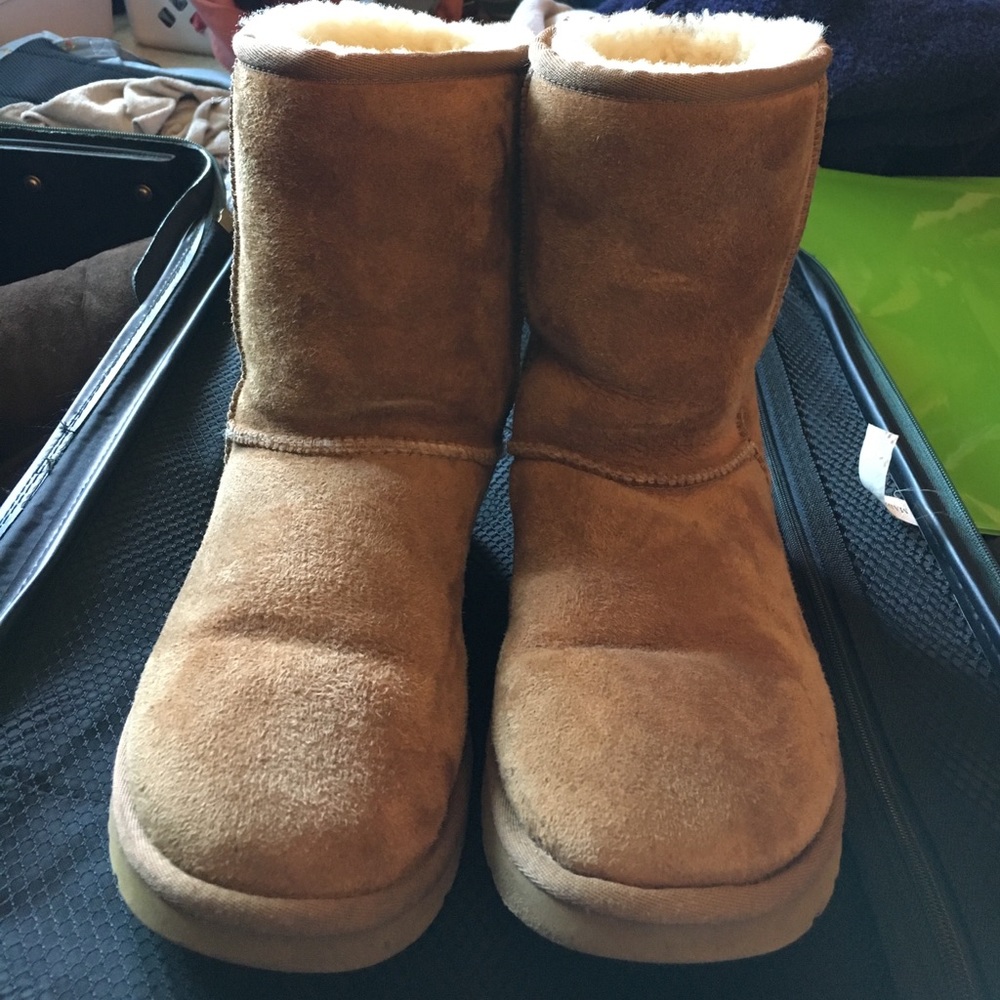 Classic short UGG in chestnut