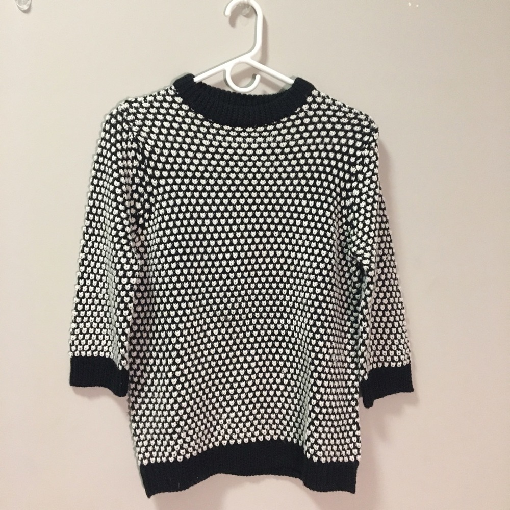 Zara Knit Sweater