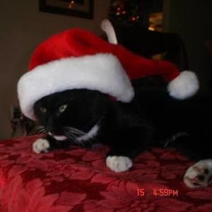 Meet your Posher, Katiuska