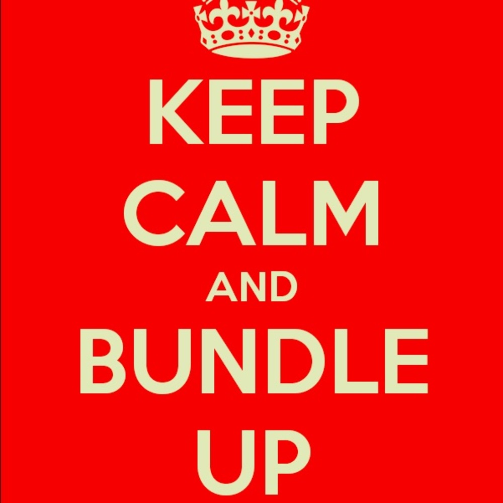 Sam Edelman Jessica Simpson Aerosoles Coach