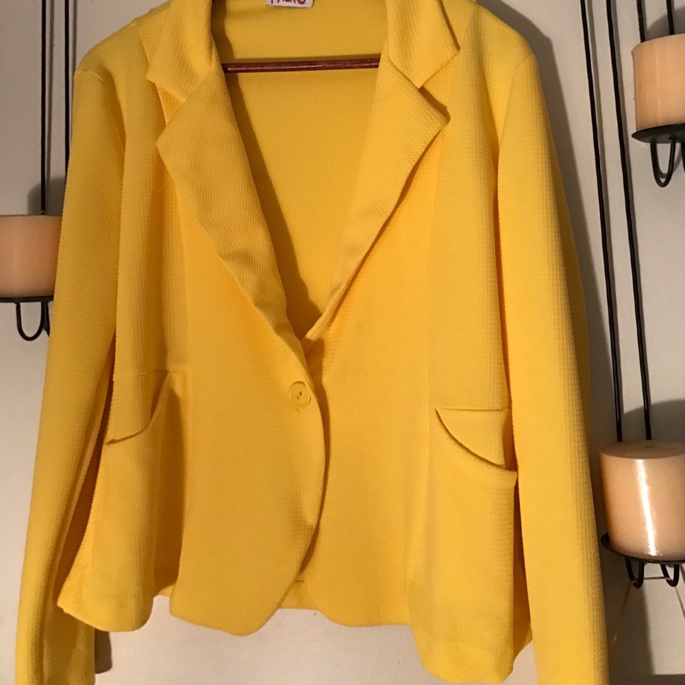 Yellow jacket - Picture 2 of 2
